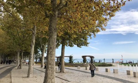 Astoria Hotel és Étterem Balatonfüred - Október 23.