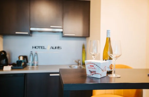 Auris Hotel Szeged Auris Hotel Szeged