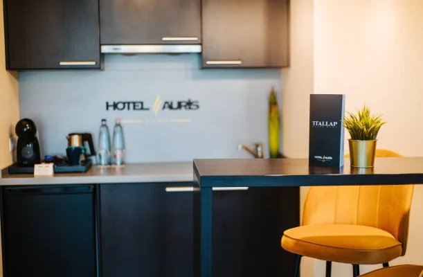 Auris Hotel Szeged Auris Hotel Szeged