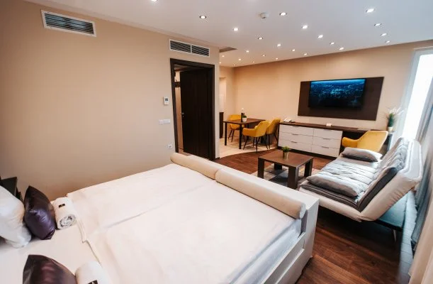 Auris Hotel Szeged Auris Hotel Szeged