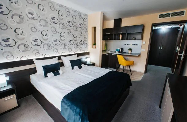 Auris Hotel Szeged Auris Hotel Szeged