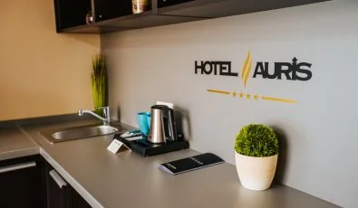 Auris Hotel Szeged