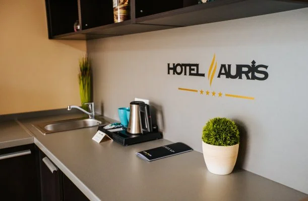 Auris Hotel Szeged Auris Hotel Szeged