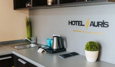 Auris Hotel Szeged