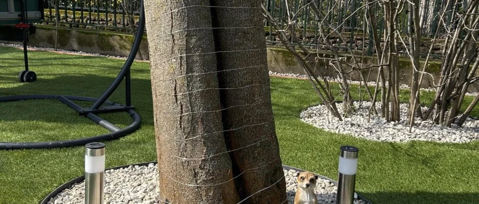 Aventurin House Rvflp