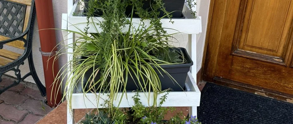 Aventurin House Rvflp