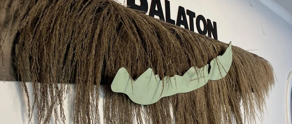 Aventurin House Rvflp