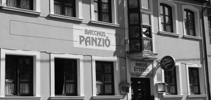 Bacchus Panzió Eger Bacchus Panzió Eger