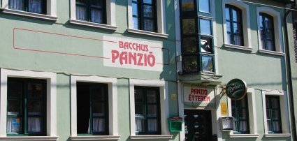 Bacchus Panzi Eger - Wellness akcik kt jszakra