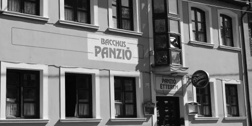 Bacchus Panzi� Eger