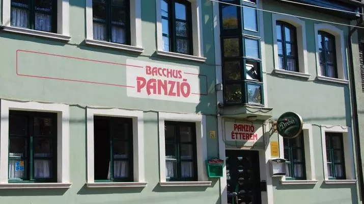 Bacchus Panzi Eger