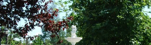 Bacchus Panzió