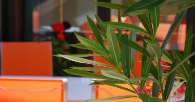 M�jus 1. (min. 2 �j)