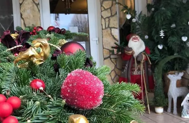 Bagolyvár Inárcs Bagolyvár Inárcs