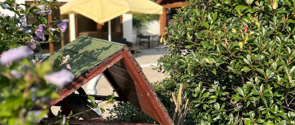 Bajor Panzi Aparthotel Bk, Bkfrd