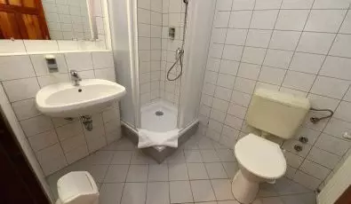 Hotel Bakony Bakonybl