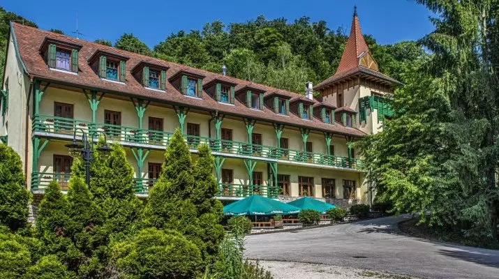 Hotel Bakony Bakonybl