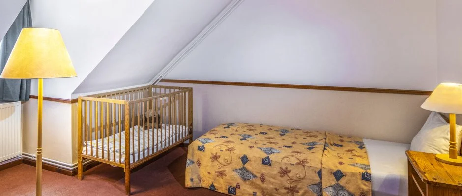 Hotel Bakony Bakonybl