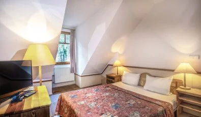 Hotel Bakony Bakonybl