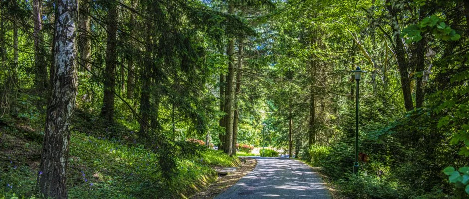 Hotel Bakony Bakonybl