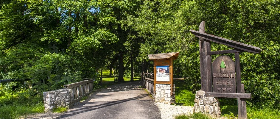 Hotel Bakony Bakonybl