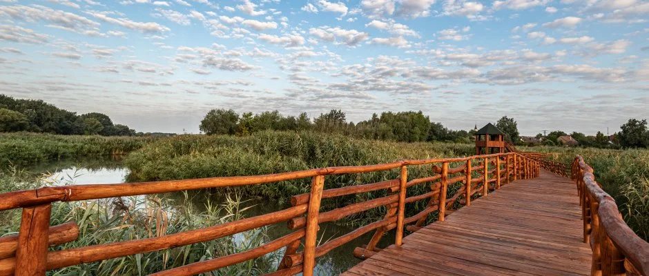 Barack Thermal Apartmanok Tiszakcske