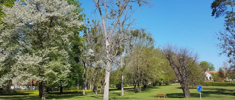 Batthyny Kria Zalacsny