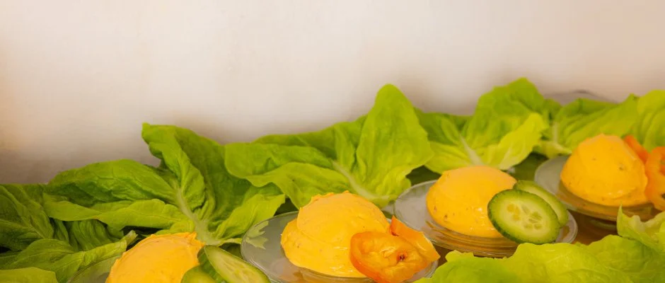 Bazilika alatti Panzi Esztergom