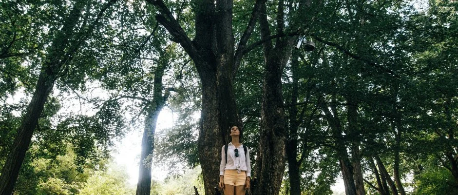 Bereg Apartmans Vsrosnamny