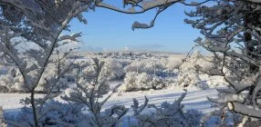 Szpia Hotel - Karcsony Zsmbkon