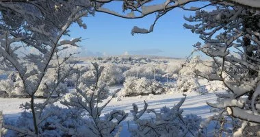 Karcsony Zsmbkon (min. 2 j)