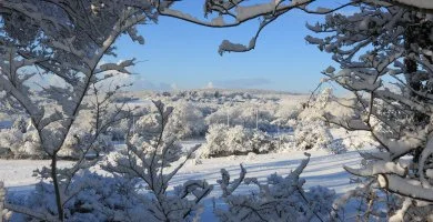 Karcsony Zsmbkon (min. 2 j)