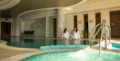  - Standard �r f�lpanzi�val