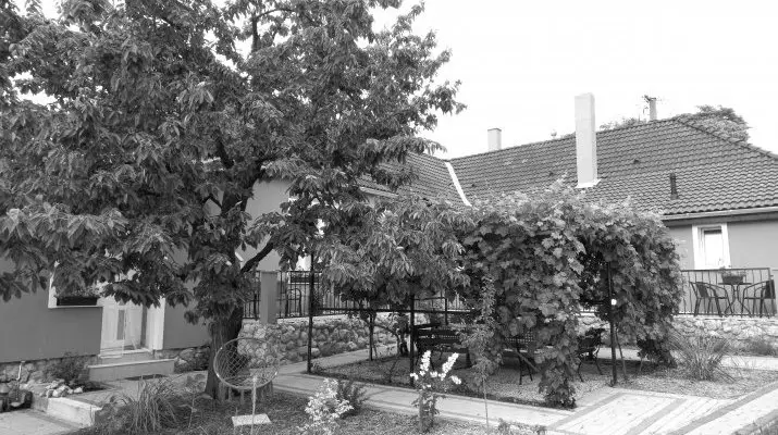 Blanka Villa Wellness Home Bakonyszentlszl
