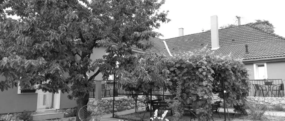 Blanka Villa Wellness Home Bakonyszentlszl