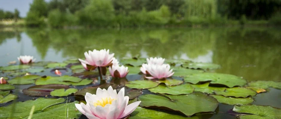 Bodrogi Kria Wellness Hotel Inrcs