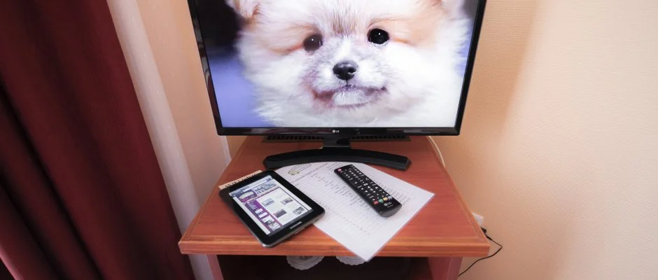 Boglrka Panzi-tterem Mezkvesd