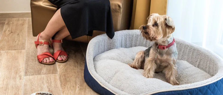 Bonvital Wellness & Gastro Hotel Hvz