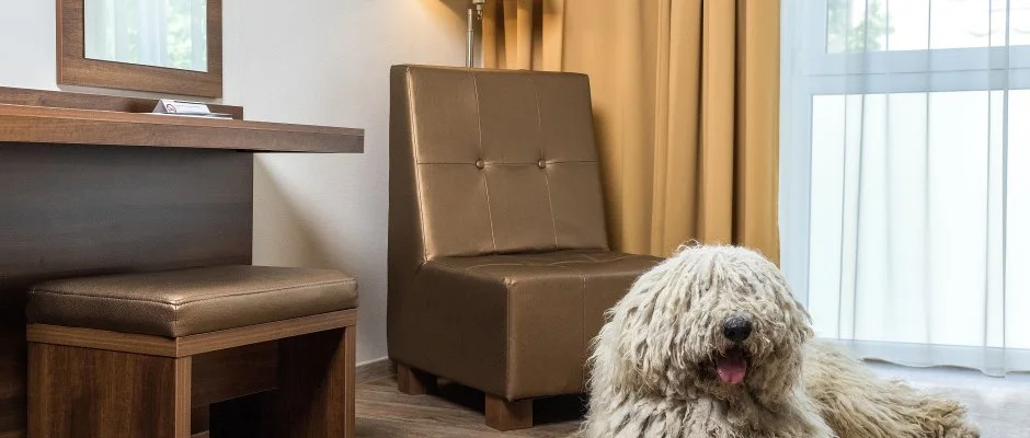 Bonvital Wellness & Gastro Hotel Hvz