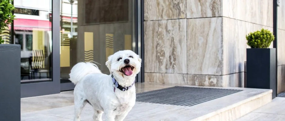 Bonvital Wellness & Gastro Hotel Hvz