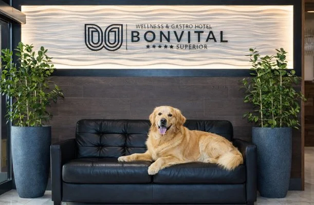 Bonvital Wellness & Gastro Hotel H�v�z