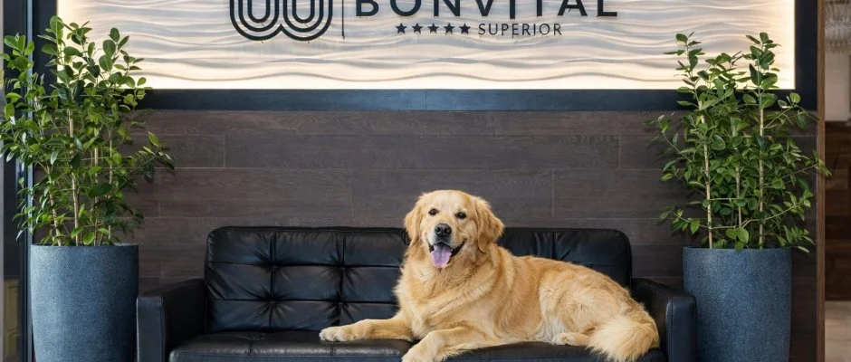 Bonvital Wellness & Gastro Hotel H�v�z