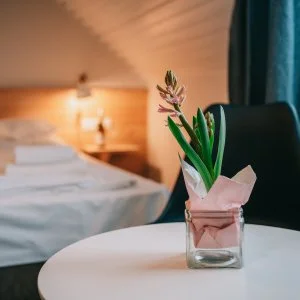  Badacsonytomaj - Téli-tavaszi félpanziós csomag a chef ajánlatával (min. 2 éj)