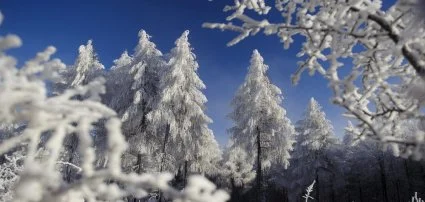 Boróka Panzió Parádfürdő - Karácsonyi wellness hétvége Boróka Panzió Parádfürdő - Karácsonyi wellness hétvége