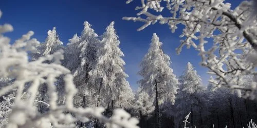 Boróka Panzió Parádfürdő