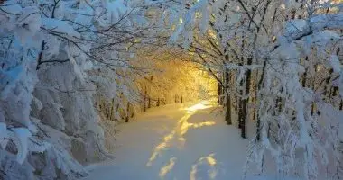 Két ünnep között