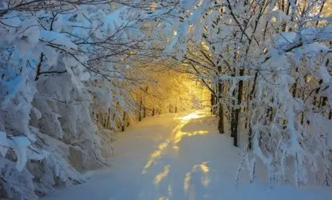 Boróka Panzió Parádfürdő - Két ünnep között
