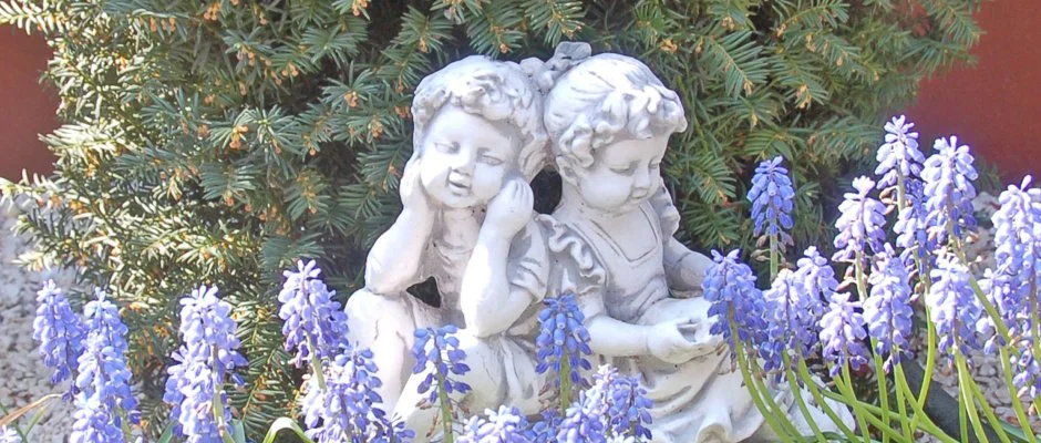 Brigitte Apartman Bk, Bkfrd