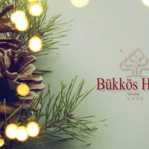 Bükkös Hotel & Spa Szentendre - Év végi ünnepek a Bükkös Hotelben! (min. 3 éj)