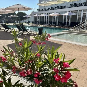 CE Plaza Hotel Siófok - Balatoni családi vakáció (1 éjtől)